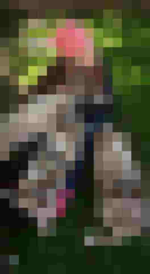 Kind umarmt mehrere spielende Border Collie Welpen auf dem Bio Bauernhof im Mostviertel