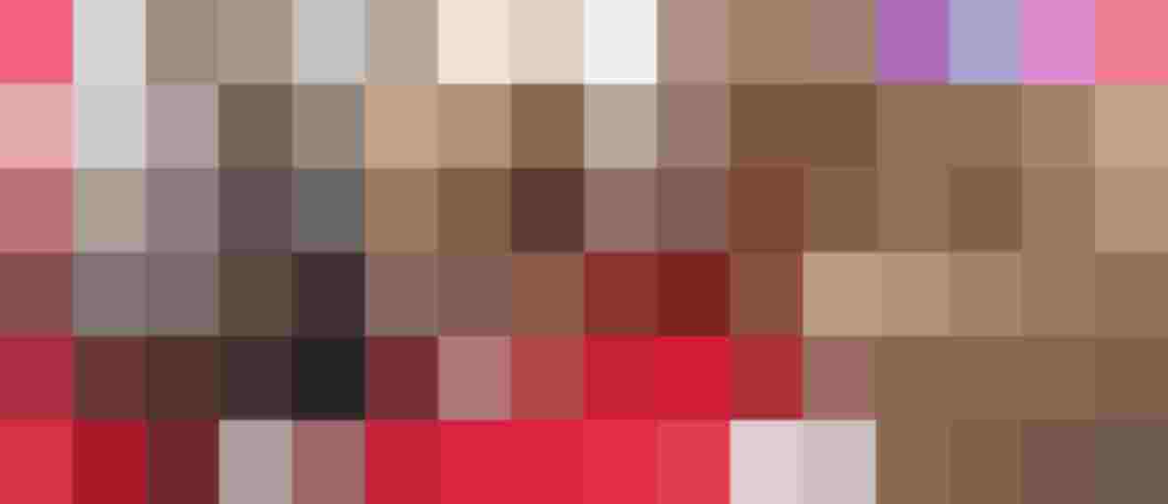 zwei schlafende border collie welpen sable merle am bio bauernhof im mostviertel