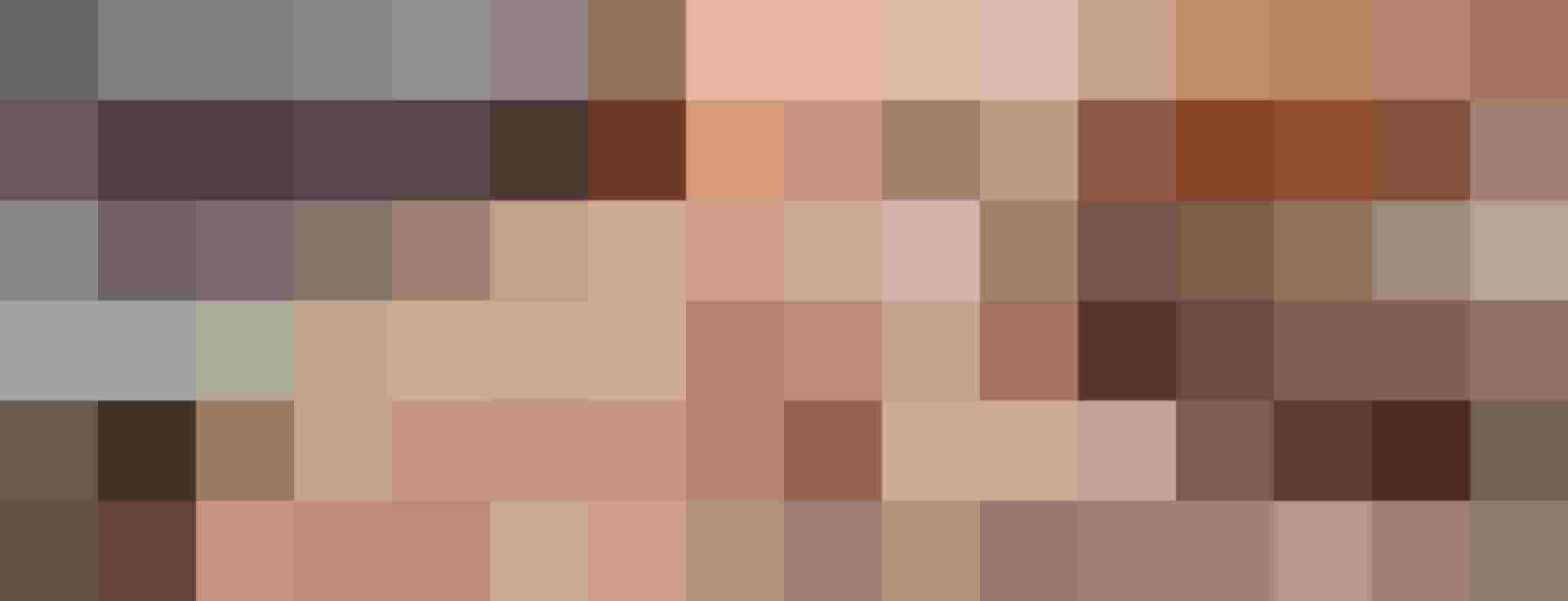 cremefarbene Britisch Kurzhaar Katze vom bio Bauernhof Sunn-Hof im Mostviertel