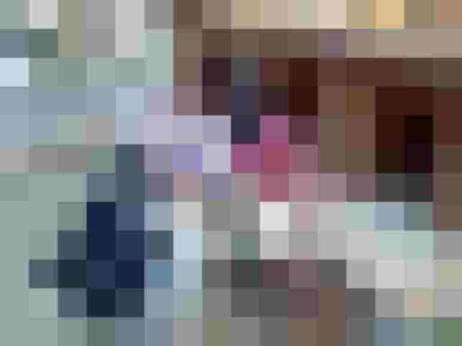 Frau und Kind füttern mehrere Border Collies vor Hundehütten auf bio Bauernhof im Mostviertel