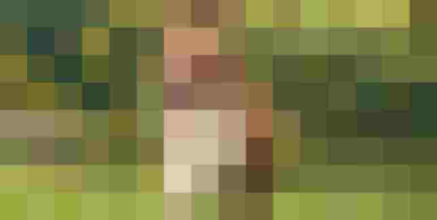 Border Collie läuft fröhlich auf grünem Gelände am nachhaltigen Bio-Bauernhof Sunn-Hof