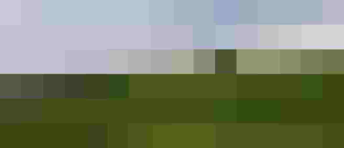 Mädchen läuft mit Border Collie über grüne Wiese auf Bio-Bauernhof im Mostviertel