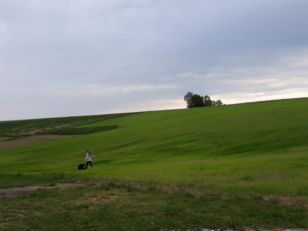 Mädchen läuft mit Border Collie über grüne Wiese auf Bio-Bauernhof im Mostviertel