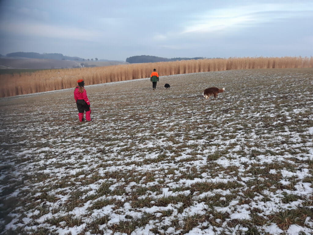 Alt-Text konnte nicht generiert werden: Timeout while downloading https://www.sunn-hof.at/wp-content/uploads/2025/05/20190127_163358.jpg.