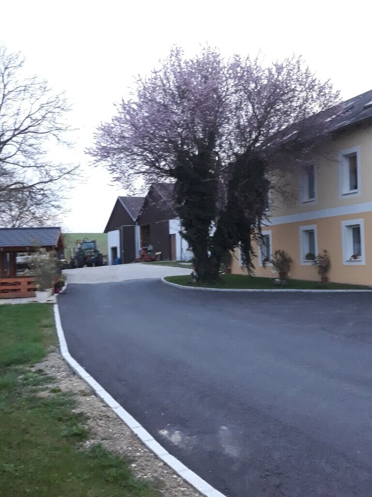 Hofeinfahrt mit blühendem Baum und Wirtschaftsgebäuden auf bio Bauernhof im Mostviertel Melk